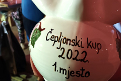 Cepljonski_kup9