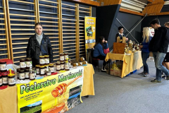 Dani-meda-Labinstine-5