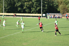 Potpican-Stinjan-1200-32