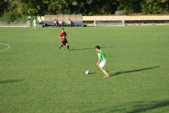 Potpican-Stinjan-1200-43