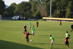 Potpican-Stinjan-1200-44