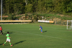 Potpican-Stinjan-1200-45