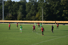 Potpican-Stinjan-1200-46