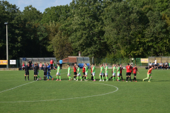 Potpican-Stinjan-1200-6