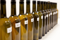 Katarina-dan-drugi-14