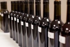 Katarina-dan-drugi-15