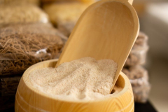 Katarina-dan-drugi-16