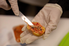 Katarina-dan-drugi-19