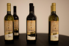 Katarina-dan-drugi-23