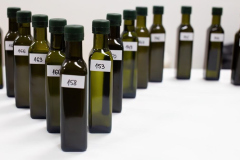 Katarina-dan-drugi-9