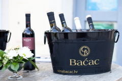 Svecana-Pican-2023-20