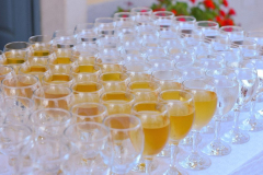 Pican-2022-Svecana66