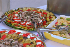 Pican-2022-Svecana67