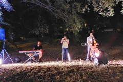 Wine-and-music-night2