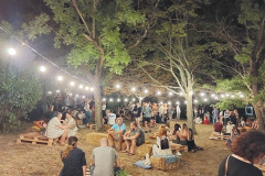 Wine-and-music-night5