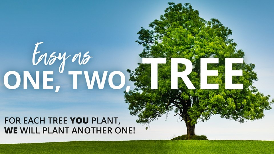 U novoj donacijskoj kampanji, Valamar sa svojim gostima sadi nove šume